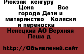 Рюкзак -кенгуру Baby Bjorn  › Цена ­ 2 000 - Все города Дети и материнство » Коляски и переноски   . Ненецкий АО,Верхняя Пеша д.